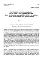 Báo cáo khoa học: 