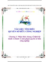 TÀI LIỆU TÌM HIỂU QUYỀN SỞ HỮU CÔNG NGHIỆP: Chương 1: Nhận thức chung về định tội danh và hành vi xâm phạm quyền sở hữu công nghiệp docx