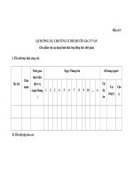 MẪU LỊCH CÔNG TÁC CHO TỪNG VỊ TRÍ CHUYÊN GIA TƯ VẤN pptx