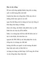 Bảo vệ cây trồng potx