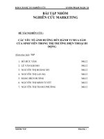 Bài báo cáo marketing: Các yếu tố ảnh hưởng đến hành vi mua sắm cuả sinh viên trong thị trường điện thoại di động pdf
