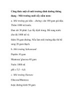 Công thức một số môi trường dinh dưỡng thông dụng pot