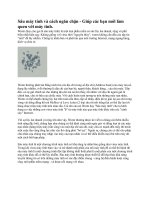 Sâu máy tính và cách ngăn chặn - Giúp các bạn mới làm quen với máy tính potx