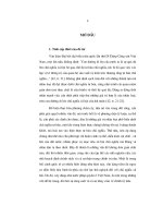 Tính phổ biến và tính đặc thù trong xây dựng nhà nước pháp quyền việt nam