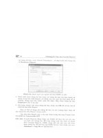 Hướng dẫn sử dụng Crytal Reports XI part 2 doc