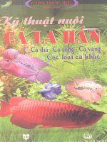 Kỹ thuật nuôi cá la hán part 1 ppt