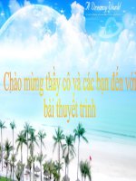 Bài báo cáo: Những nguyên lý cơ bản của chủ nghĩa Mac Lênin doc