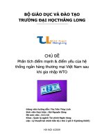 tieu luan LTTCTT docx