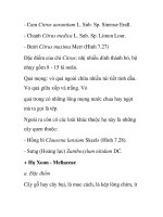 Đặc điểm của chi Citrus doc