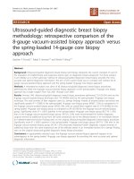 báo cáo khoa học: 