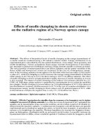 Báo cáo khoa học: 