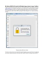Bẻ khóa DRM để chuyển đổi định dạng ebook trong Calibre pdf