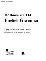 The Heinemann ELT English Grammar potx