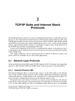 Internet Security Cryptographic Principles, Algorithms and Protocols - Chapter 2 pdf