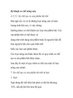 Kỹ thuật sơ chế nông sản pdf