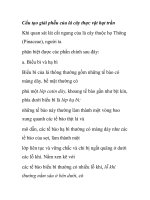 Cấu tạo giải phẫu của lá cây thực vật hạt trần doc