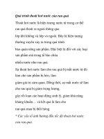 Quá trình thoát hơi nước của rau quả docx