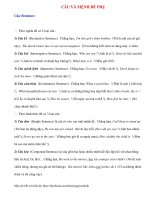 Ngữ pháp Tiếng Anh thông dụng: CÂU VÀ MỆNH ĐỀ PHỤ pot