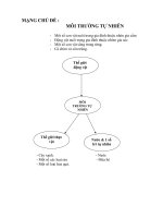 MẠNG CHỦ ĐỀ MÔI TRƯỜNG TỰ NHIÊN pot