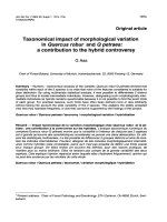 Báo cáo khoa học: 