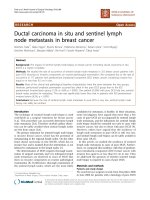 Báo cáo khoa học: 