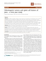 báo cáo khoa học: 