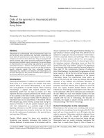 Review Cells of the synovium in rheumatoid arthritis docx