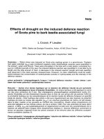 Báo cáo khoa học: 