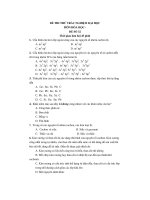 ĐỀ THI THỬ TRẮC NGHIỆM ĐẠI HỌC MÔN HÓA HỌC ĐỀ SỐ 32 pps