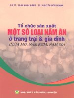 Tổ chức sản xuất một số loại nấm ăn ở trang trại và gia đình part 1 pot
