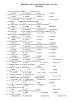Kiểm tra cuối kỳ năm 2010-2011 Môn: Anh Văn Mã đề 003 pdf