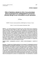 Báo cáo khoa học: 