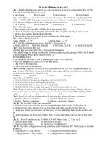 Đề ôn thi HKII môn hóa học - số 3 doc