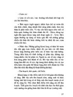 Kỹ thuật trồng rau, củ, cỏ làm thức ăn trong chăn nuôi part 4 doc