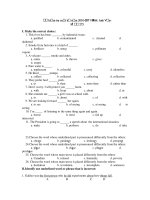 Kiểm tra cuối kỳ năm 2010-2011 Môn: Anh Văn - Mã 275 pps