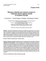 Báo cáo lâm nghiệp: 