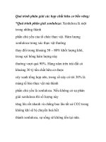 Quá trình phân giải các hợp chất hữu cơ bền vững potx