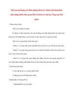 Thủ tục áp dụng các biện pháp kiểm tra, kiểm soát hàng hoá xuất nhập khẩu liên quan đến Sở hữu trí tuệ tại Tổng cục Hải quan doc