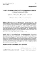 Báo cáo lâm nghiệp: 