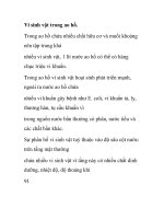 Vi sinh vật trong ao hồ pot