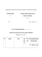 MẪU DANH SÁCH CỬA HÀNG BÁN LẺ XĂNG DẦU TẠI KHU VỰC BIÊN GIỚI pps