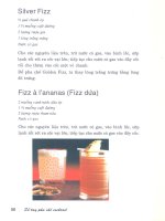 Sổ tay pha chế Cocktail part 8 potx