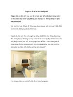 7 nguyên tắc bố trí cho căn hộ nhỏ docx