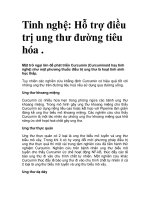 Tinh nghệ: Hỗ trợ điều trị ung thư đường tiêu hóa pps