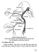 Thực hành lâm sàng thần kinh học tập 1 part 4 doc