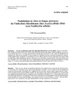 Báo cáo lâm nghiệp: 