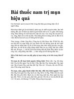 Bài thuốc nam trị mụn hiệu quả pdf