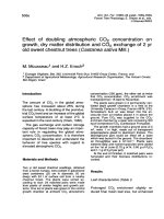 Báo cáo lâm nghiệp: 