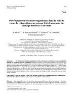 Báo cáo lâm nghiệp: 