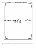 TỔNG QUAN VỀ ĐÔNG CƠ KHÔNG ĐỒNG BỘ docx